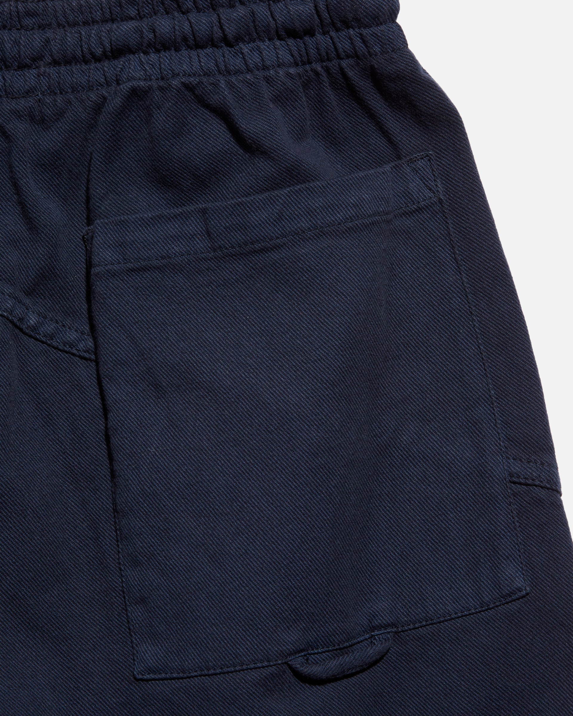 Alva Skate Trouser - Navy