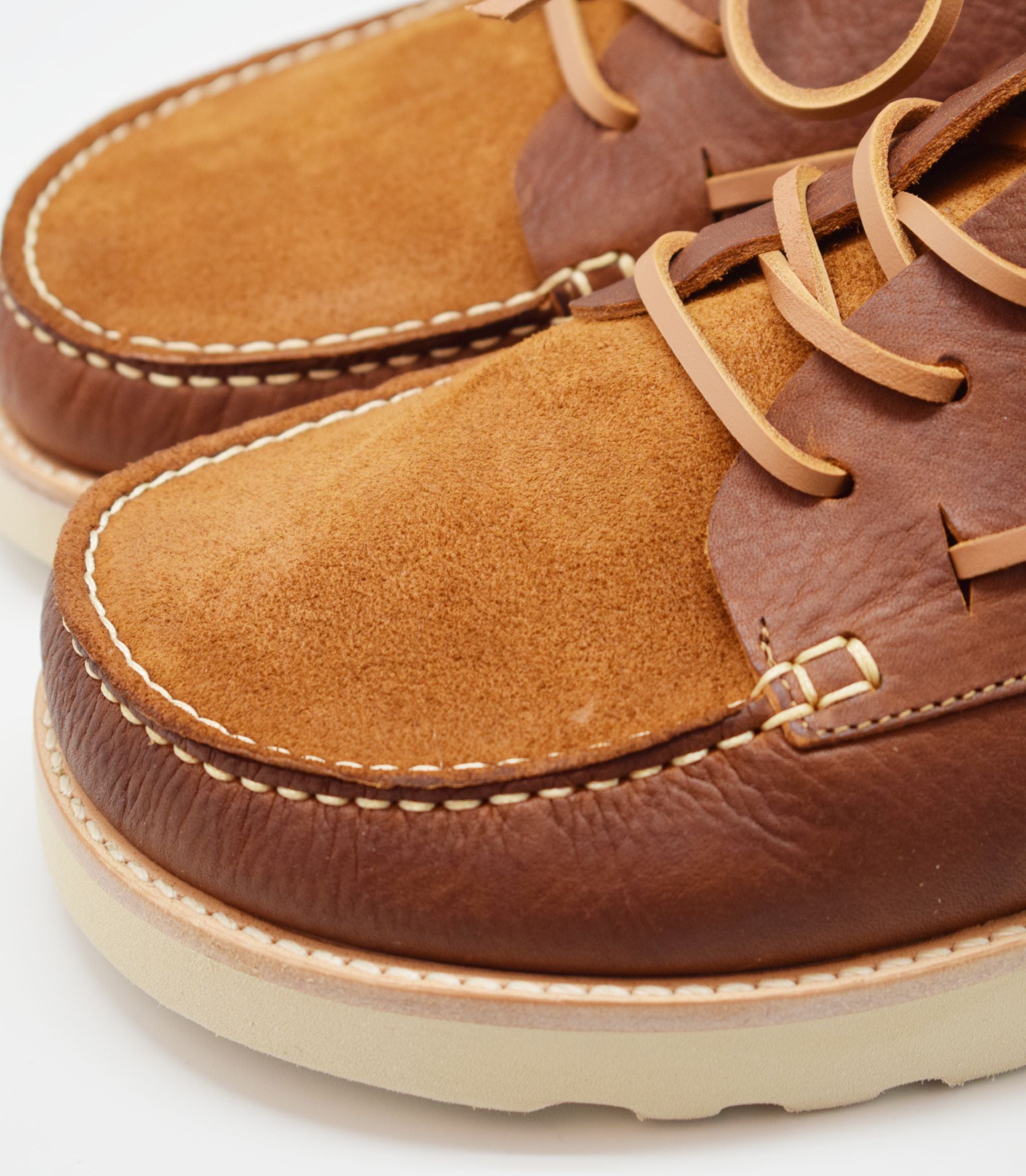 Costa 2 - BC Chestnut Reverse