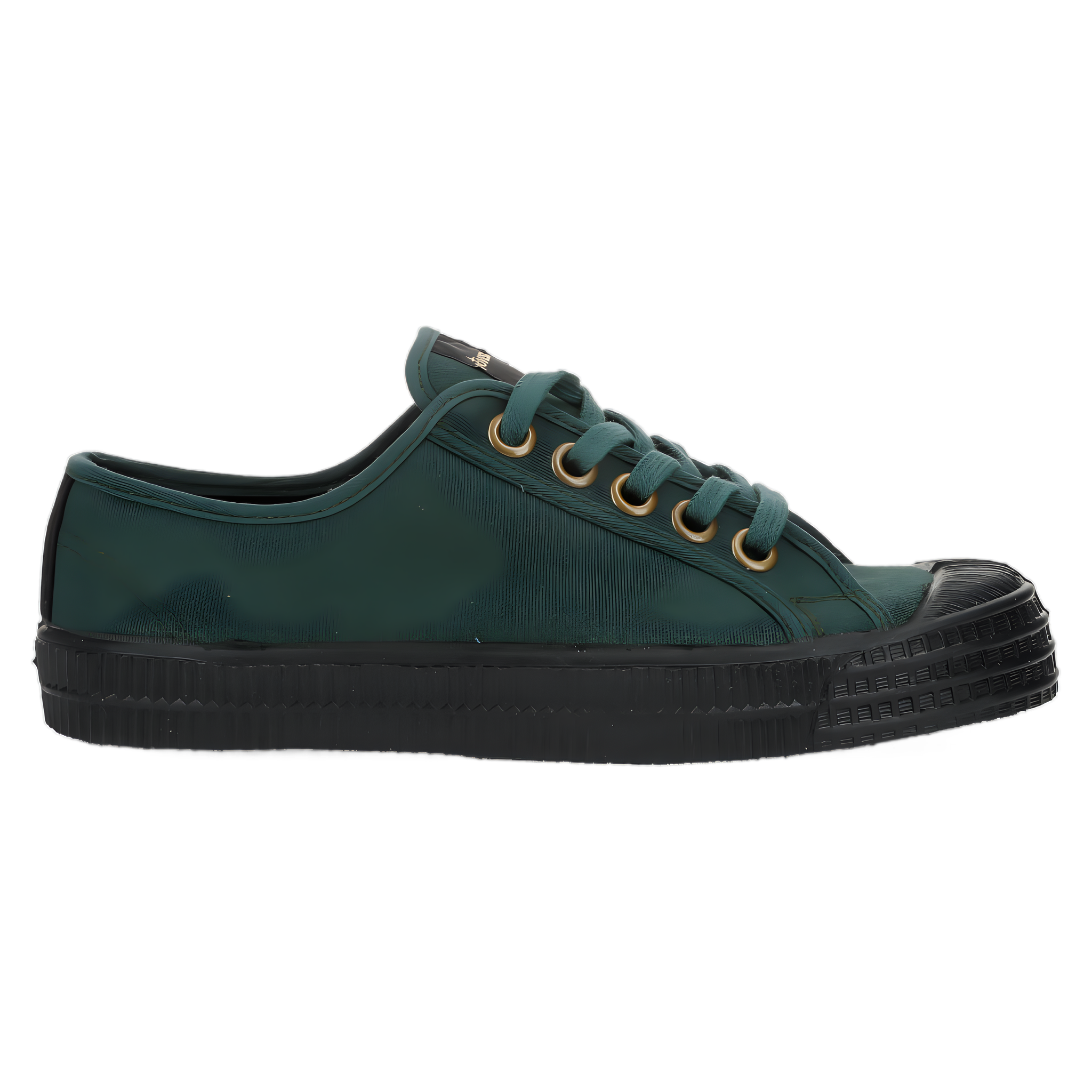 Star Master - Sycamore