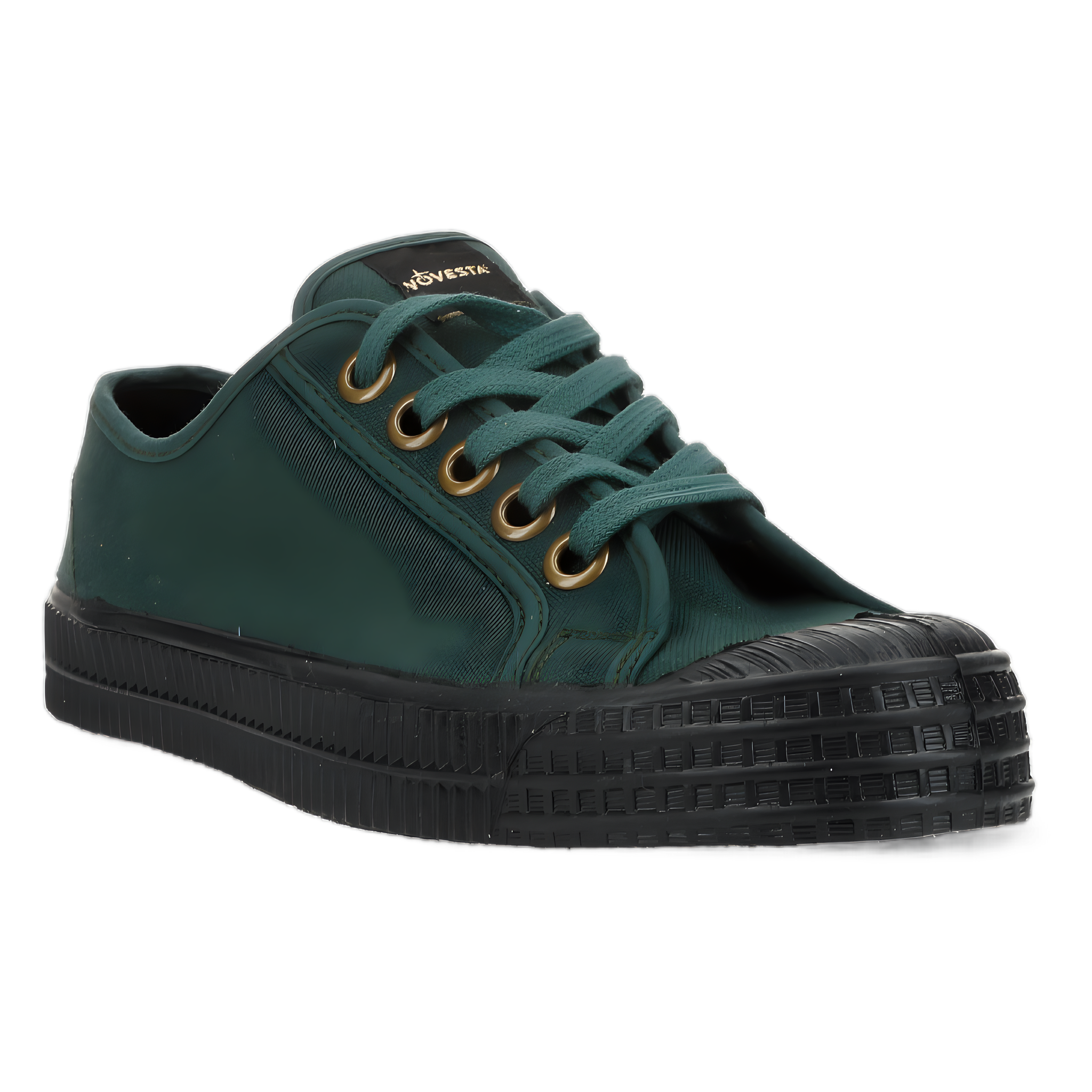 Star Master - Sycamore