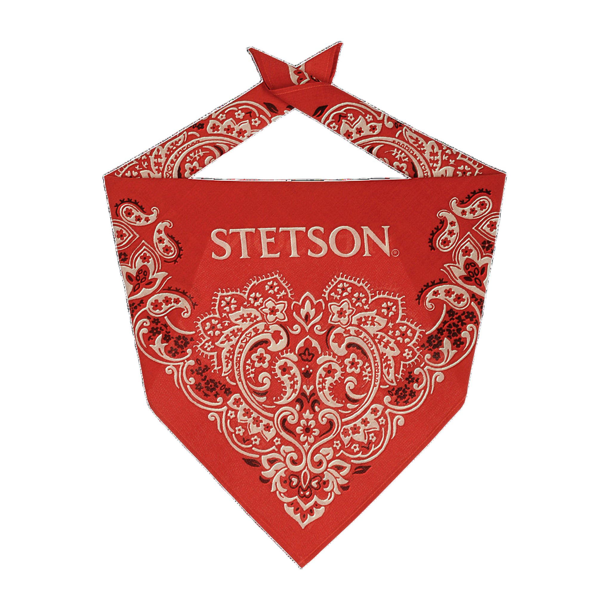 Paisley Bandana - Red