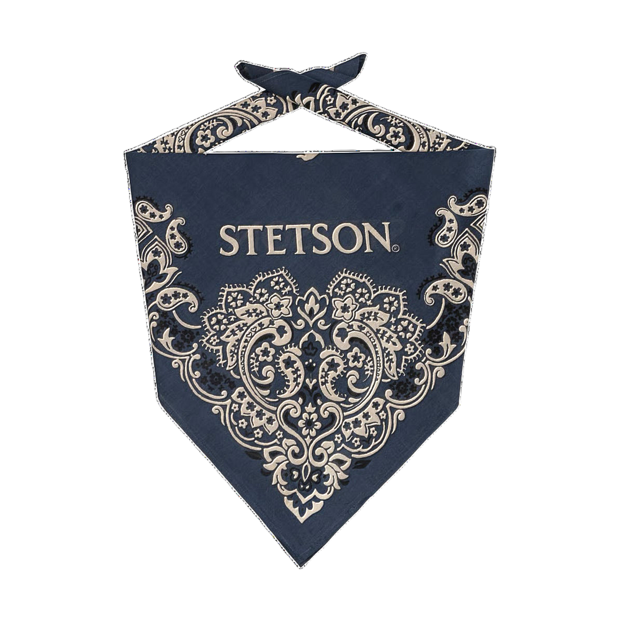 Paisley Bandana - Blue