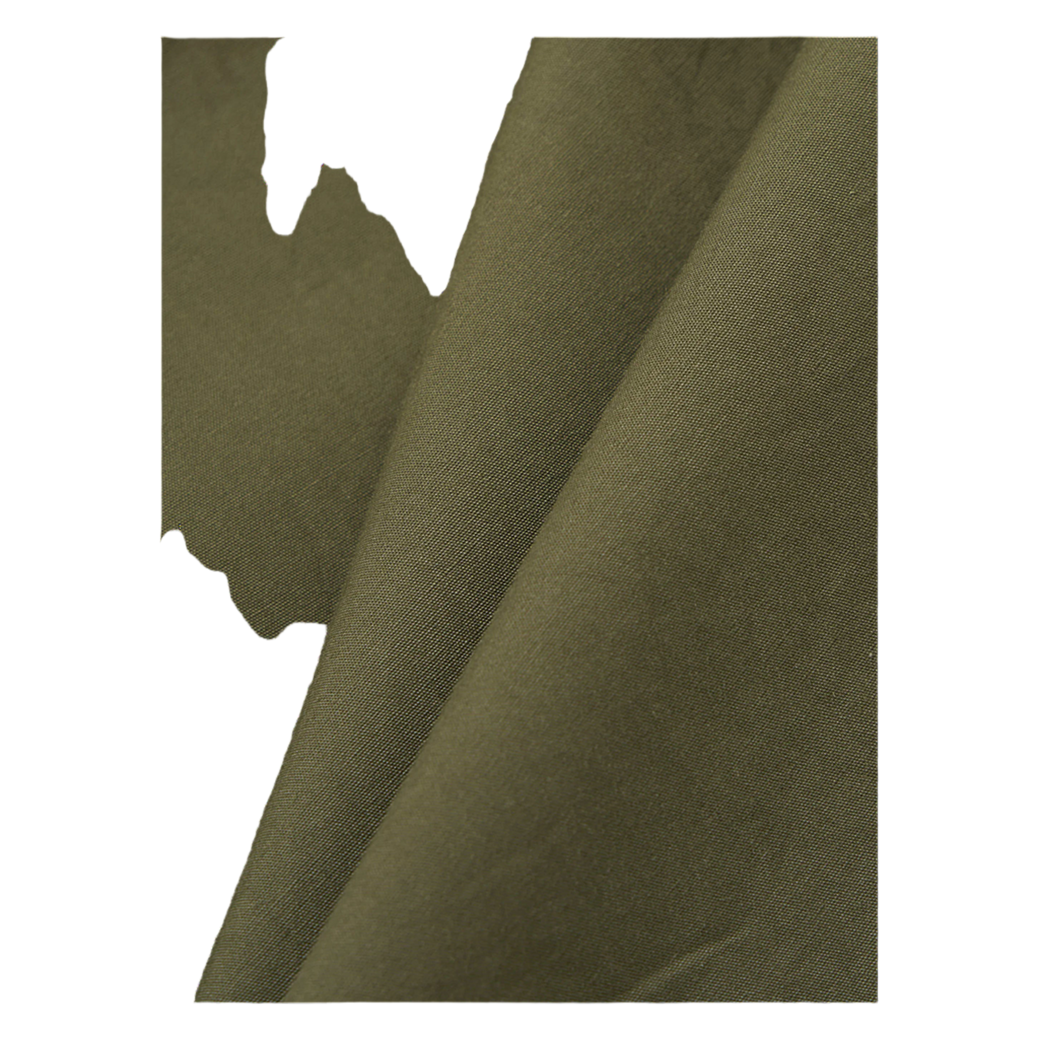 Broadcloth Oxford Pant - Olive