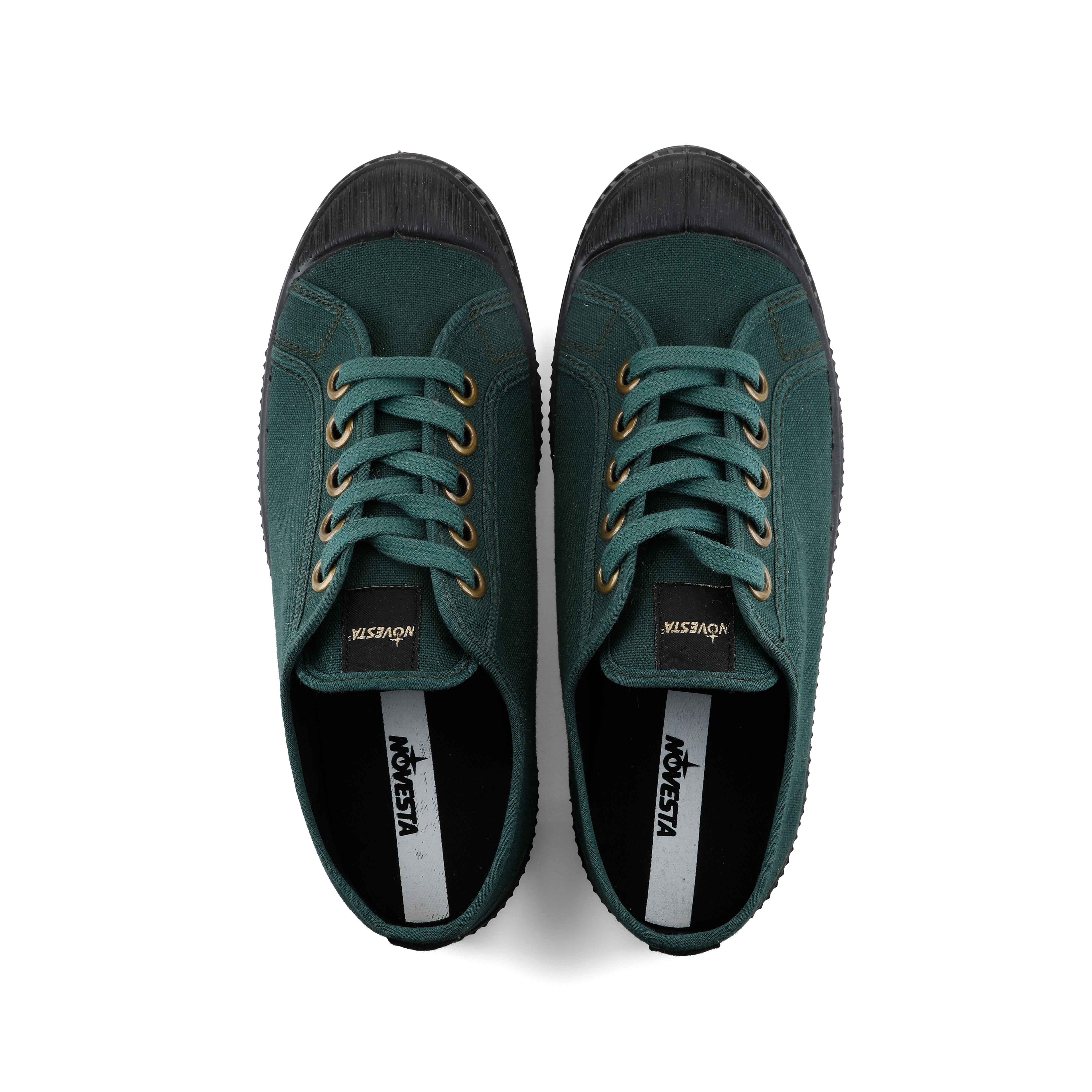 Star Master - Sycamore